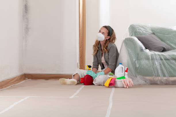 Reliable Mold Removal contractor in Windsor, VA by WQB Mold Removal